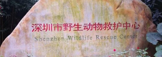 深圳市野生动物科普展览馆