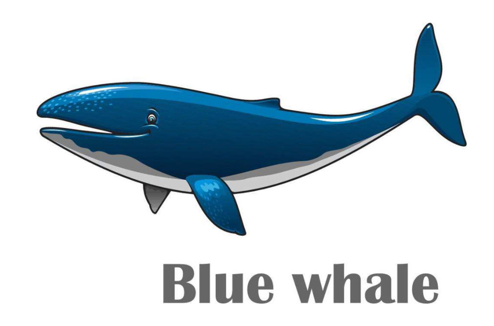 蓝鲸看法意义科普学问：嘴可以容下20吨水，但喉咙只要沙岸排球那末粗