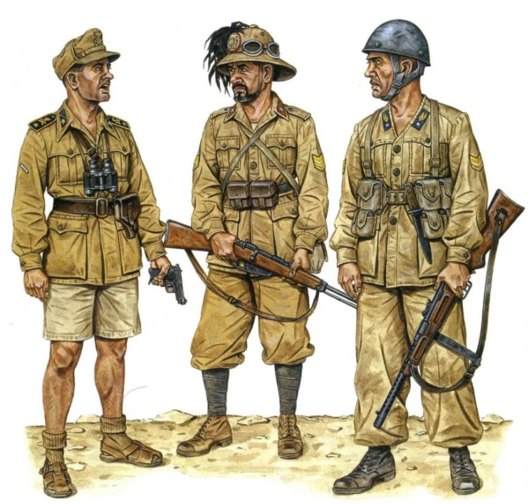 二战中的意大年夜利部队为何头盔上插羽毛？